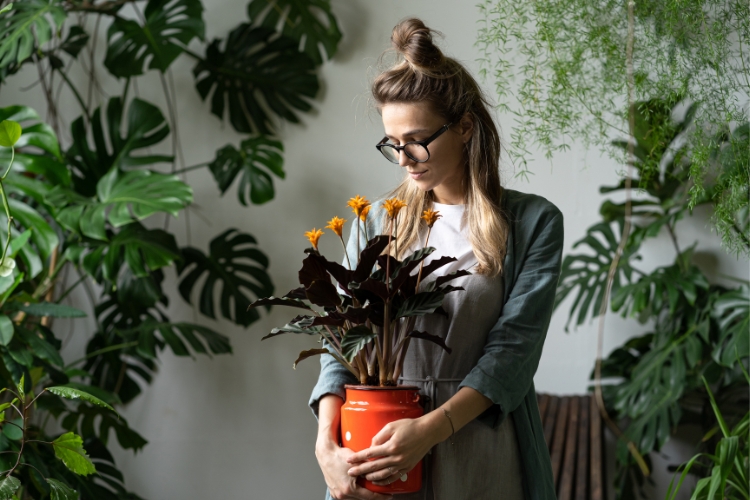 Sentuhan Kecil yang Mengubah Nuansa Ruang Sentuhan Kecil yang Mengubah Nuansa Ruang